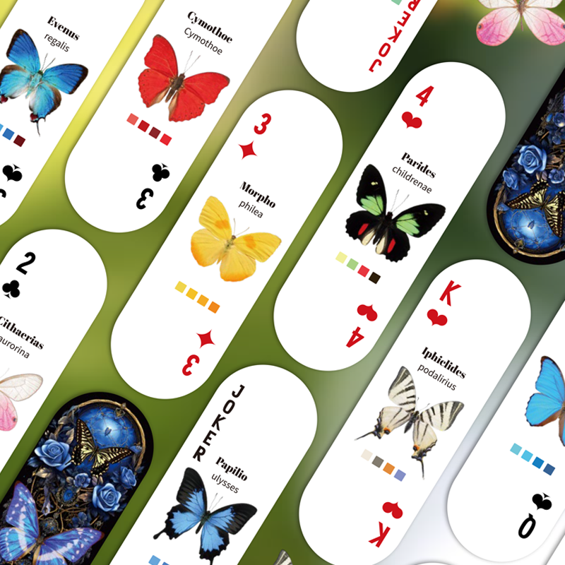 Mr.Paper Table Card Game 54/Bo - огляд і ціна Graded Card Display