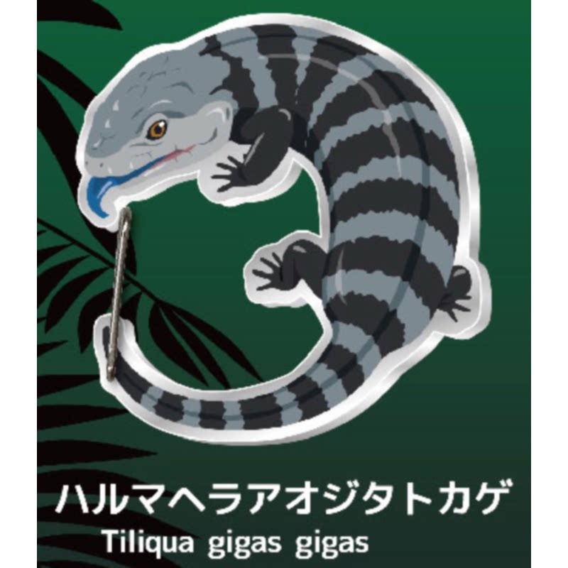 Gecko Lover Carabiner Gashapon - огляд і ціна Capsule Toy Gashapon