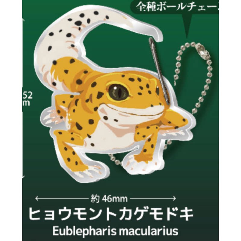 Gecko Lover Carabiner Gashapon - огляд і ціна Capsule Toy Gashapon